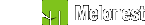 melonest logo